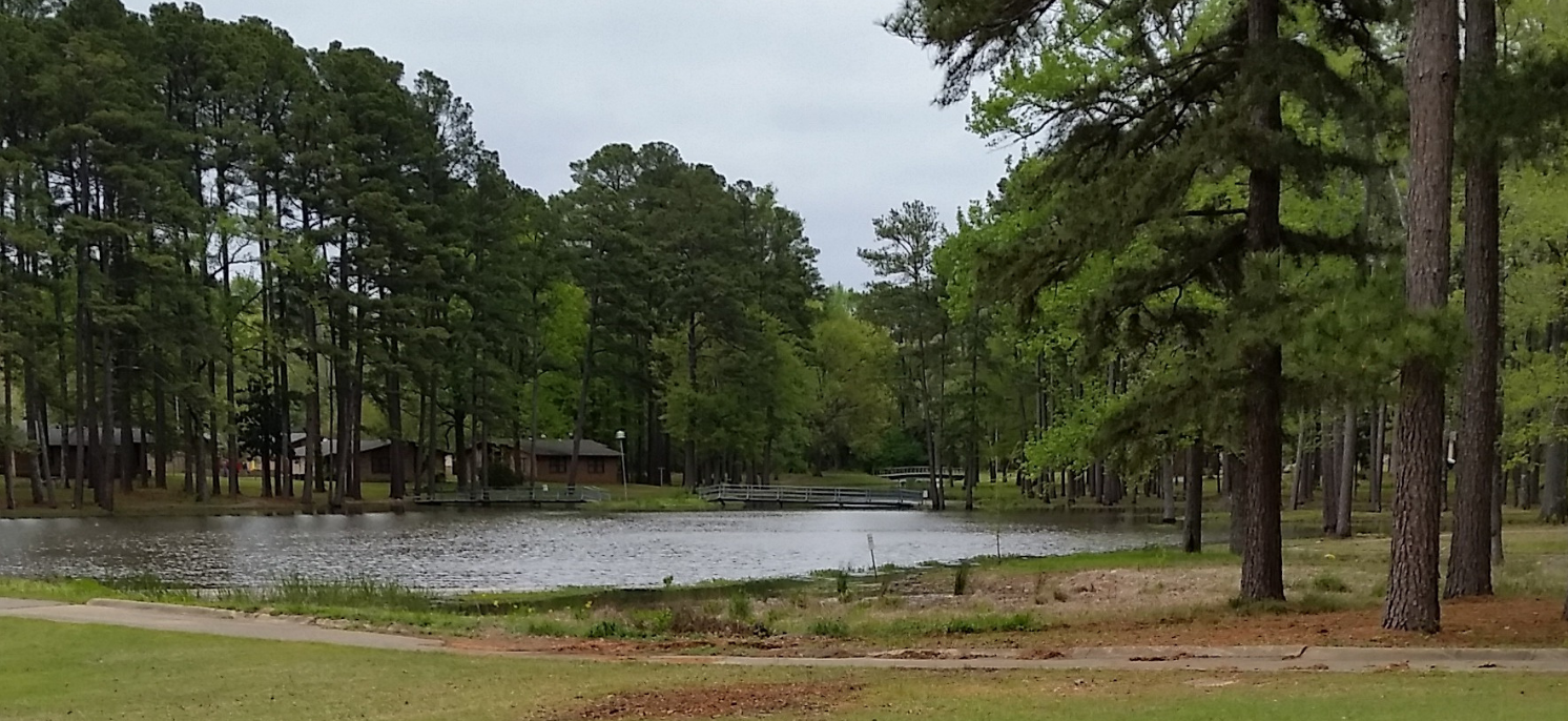 Community Pond