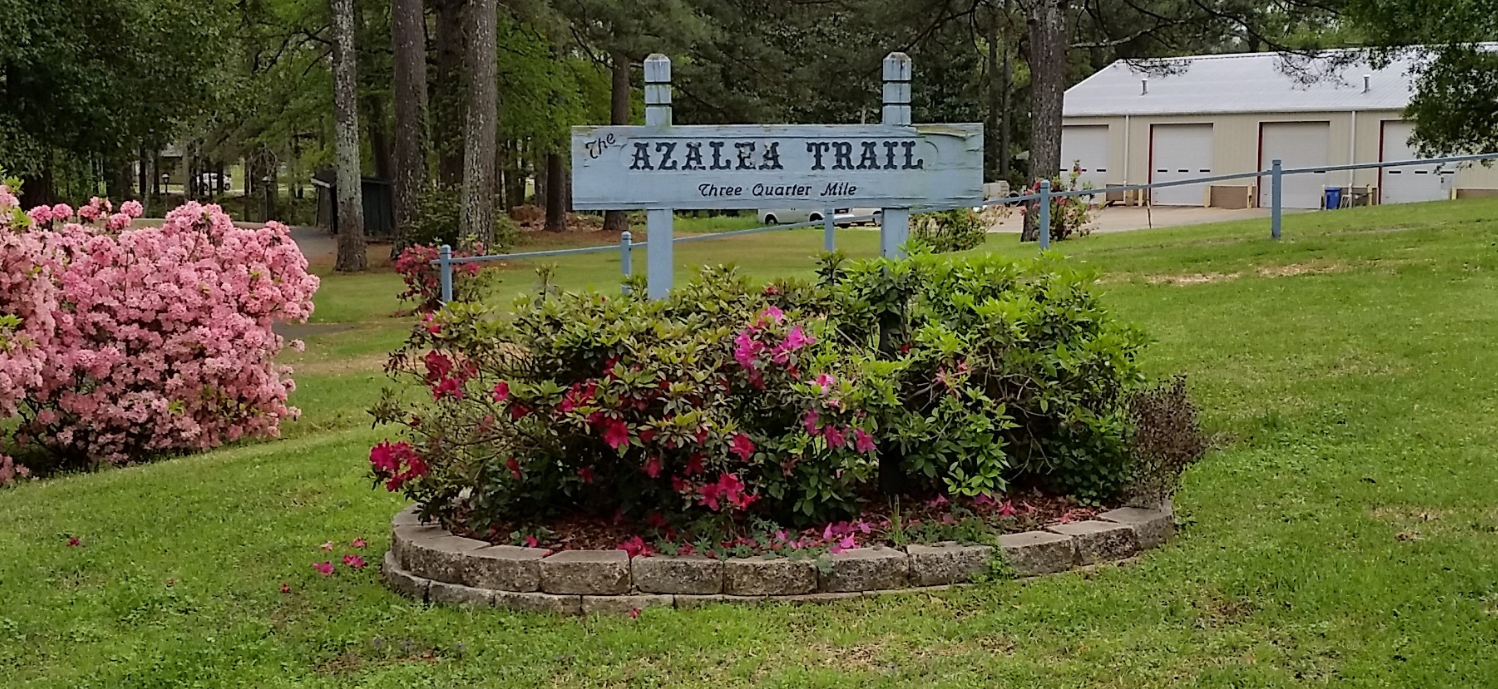 Azalea Trail 
